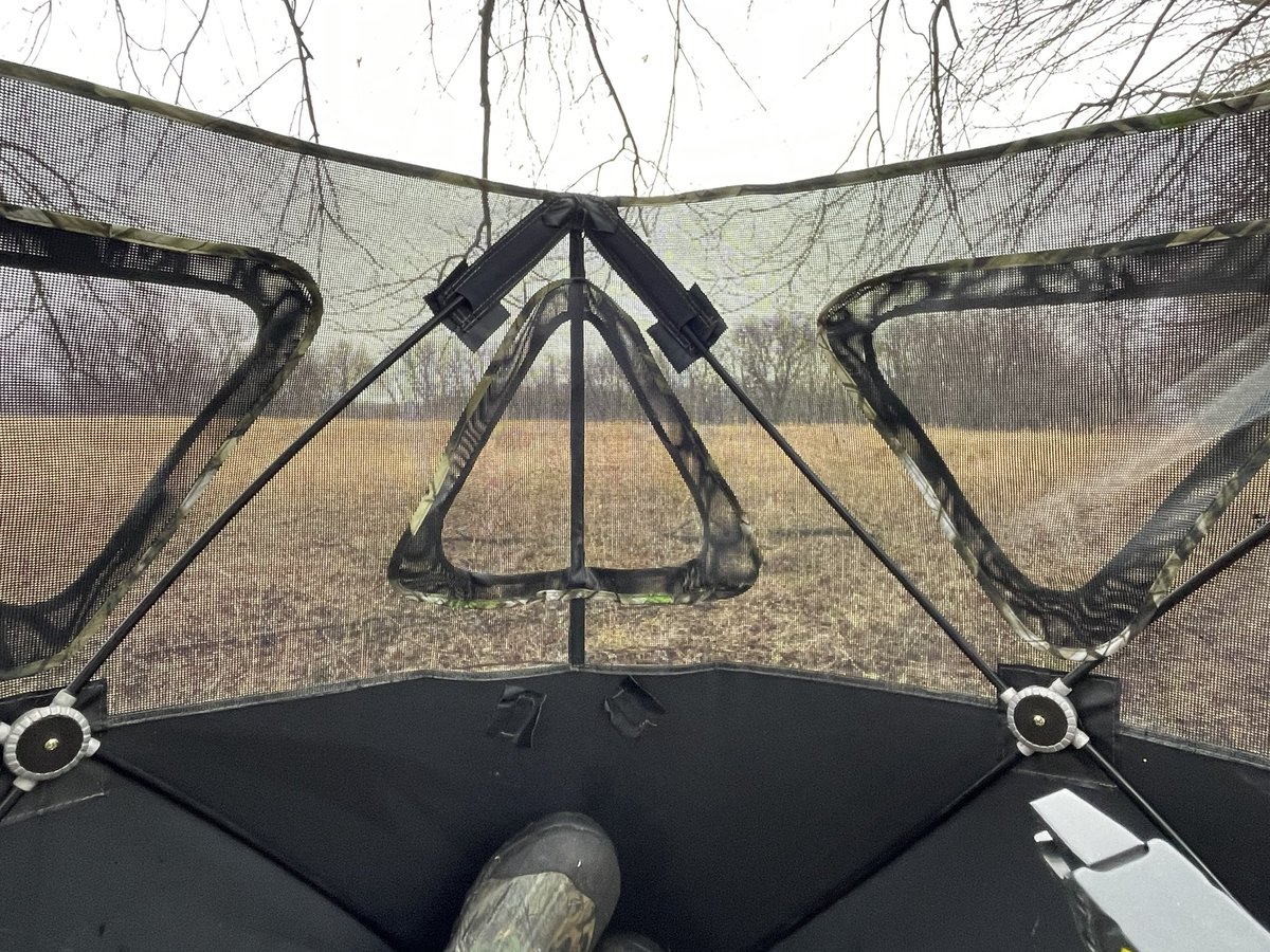 Seeing if lonesome Tommy will come to my blind!