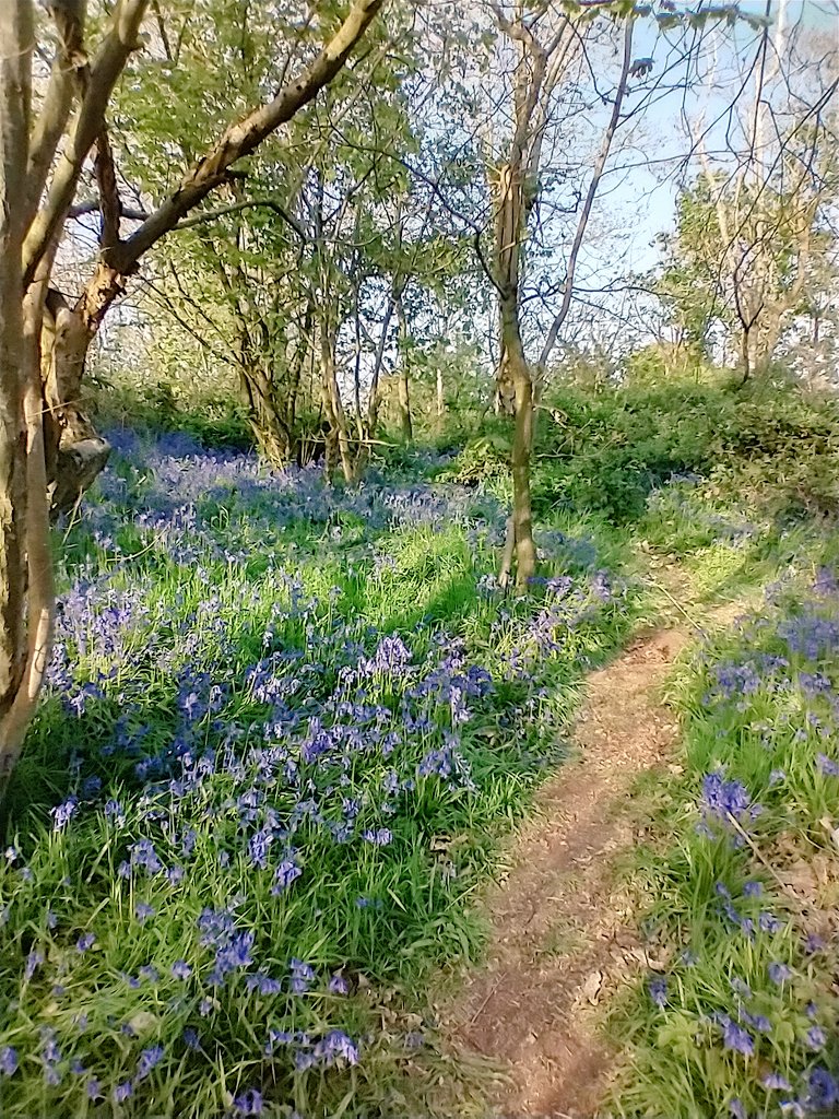 JayneBeasleynhs's tweet photo. #HighFiveFriday
Loved preparing for QI training #newQl friends @KazBrown48
Process mapping at Hilda Johnson house @QIatNSCH #thetoolswork
Virtual Health & wellbeing week @TwbWellbeingHub
Lots to catch up on!
QI Quickstart with amazing staff @QIatNSCH
A lovely walk! https://t.co/p4qGniVEKl