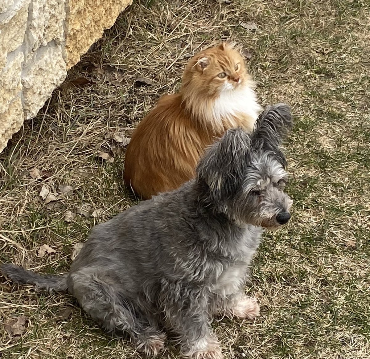 Ali Bronwyn Crandall she/her tweet media