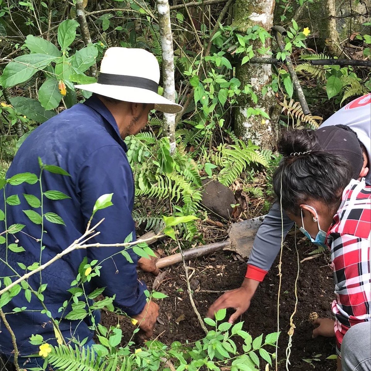 ECAPMAUNADZCORI tweet media