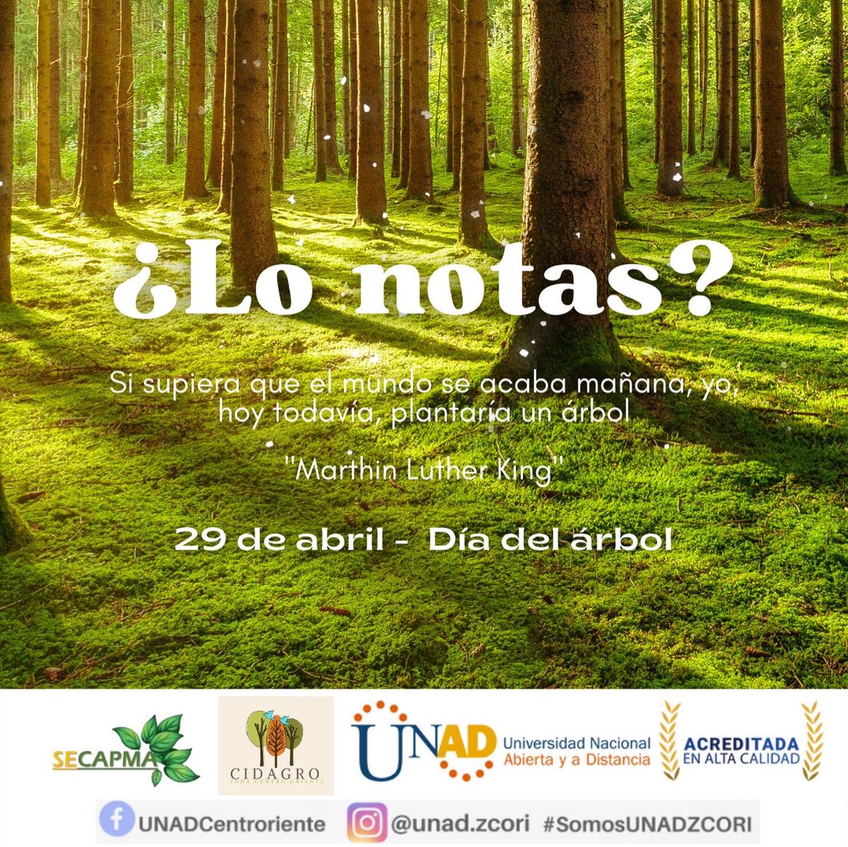 ECAPMAUNADZCORI tweet media