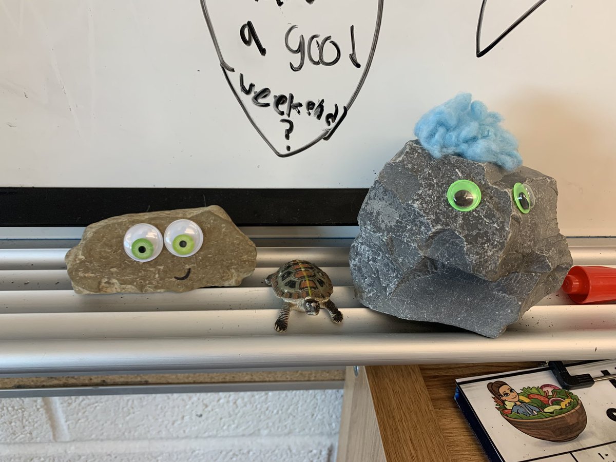 marissa__lewis's tweet photo. Since no one wanted the dust bunny/hair ball as a class pet, we went on a rock hunt- meet HUMPHREY! Today, he received a letter from Dave in @Mrs_Barr40 room asking to be pen pals!!!!

 (Then they secretly met after school😅) https://t.co/l0z9i0eeiT