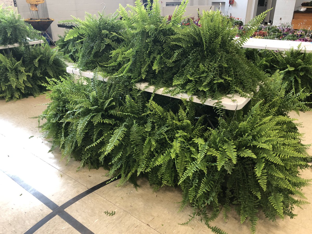You can’t miss this! MNSA Annual Plant Sale 9 AM to 3 PM￼! Veggie starts, ferns, flowering pots and much more￼! Get them before they’re gone! #MontfordNSA #TheACSWay ￼