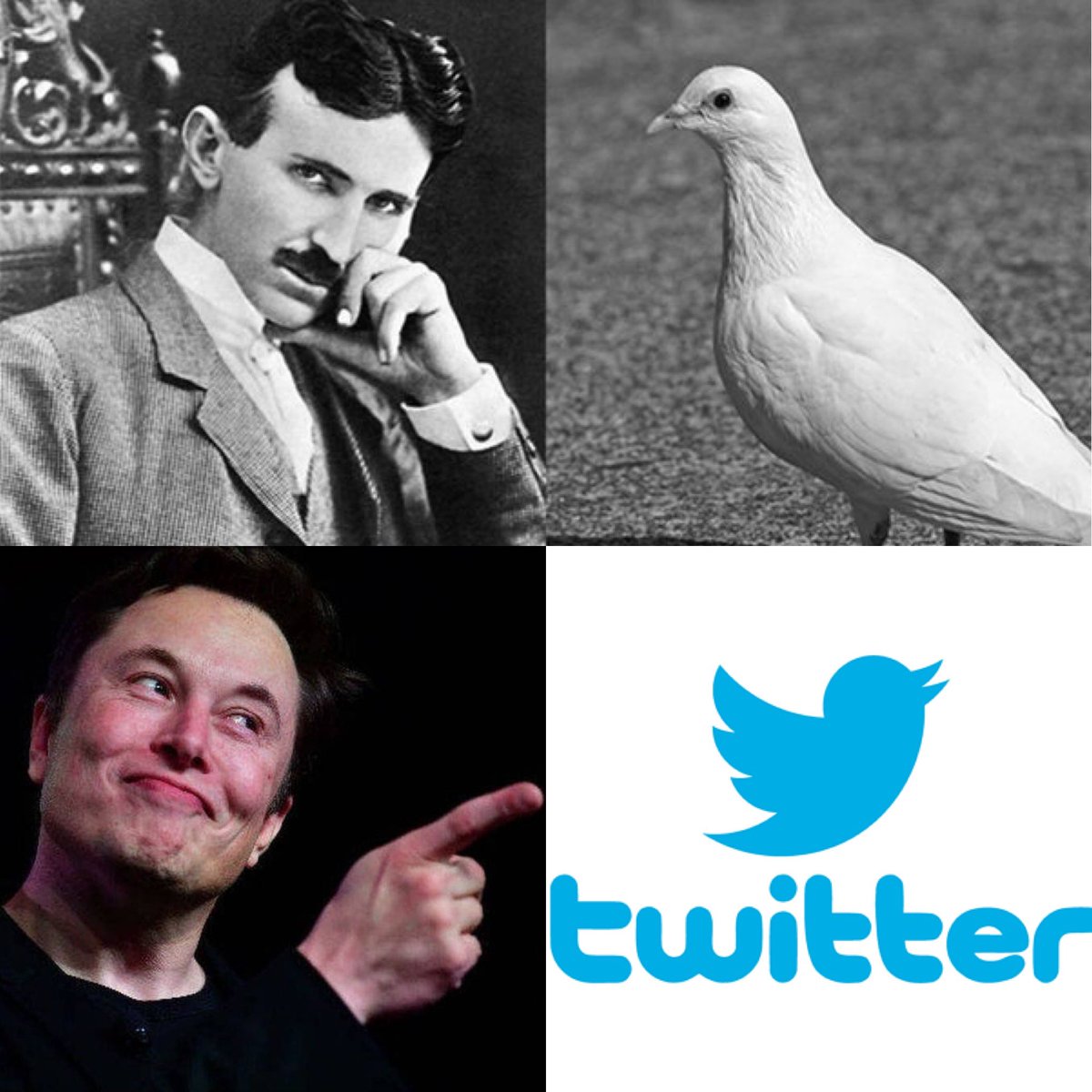 Nikola Tesla se enamoró ❤️ de una paloma

<a href="/elonmusk/">Elon Musk</a> compra ❤️ Twitter

¿Nadie mas se ha dado cuenta?

#love #elonmusk #ElonMuskTwitter #paloma #ilovebirds #tesla