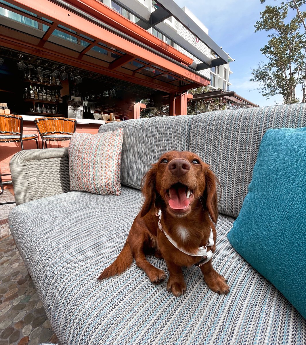 happy friYAY. how are you celebrating?