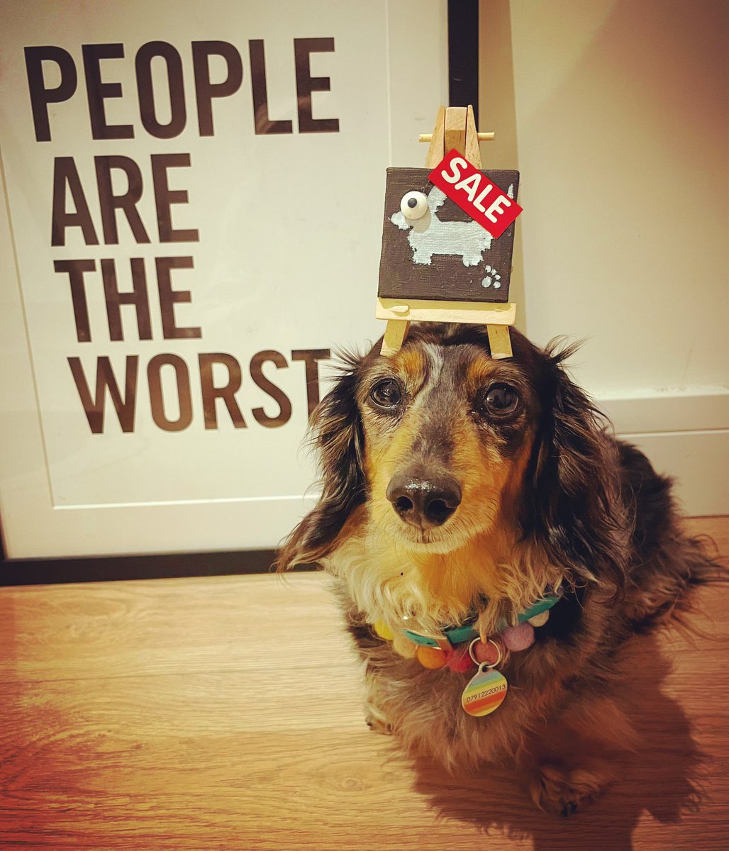 gemmyred's tweet photo. Going, going…*

*Seriously, DMs open.

#sausageartsale #SKILLS #proud #pawcasso #artistinresidence #creativecanine #peoplearetheworst #justmeandb #balancingb #girlgotskillz #kikiandpalpooch #kikiandpal #doggystyle #sausagestyle #dachshundoftheday #ramsgate https://t.co/PubFrm42md