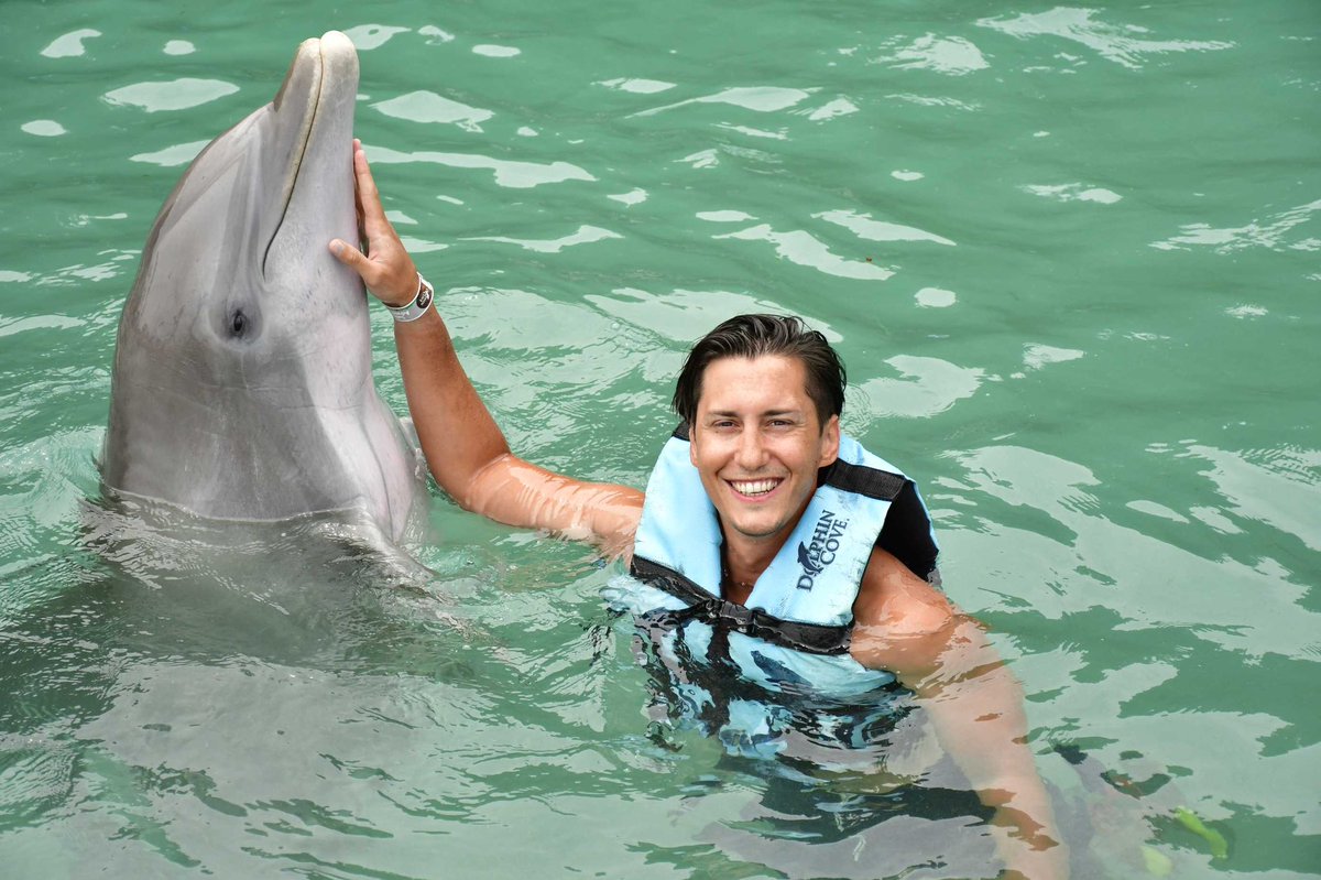 What a crazy experience ❤️🐬#dolphin #caribbean