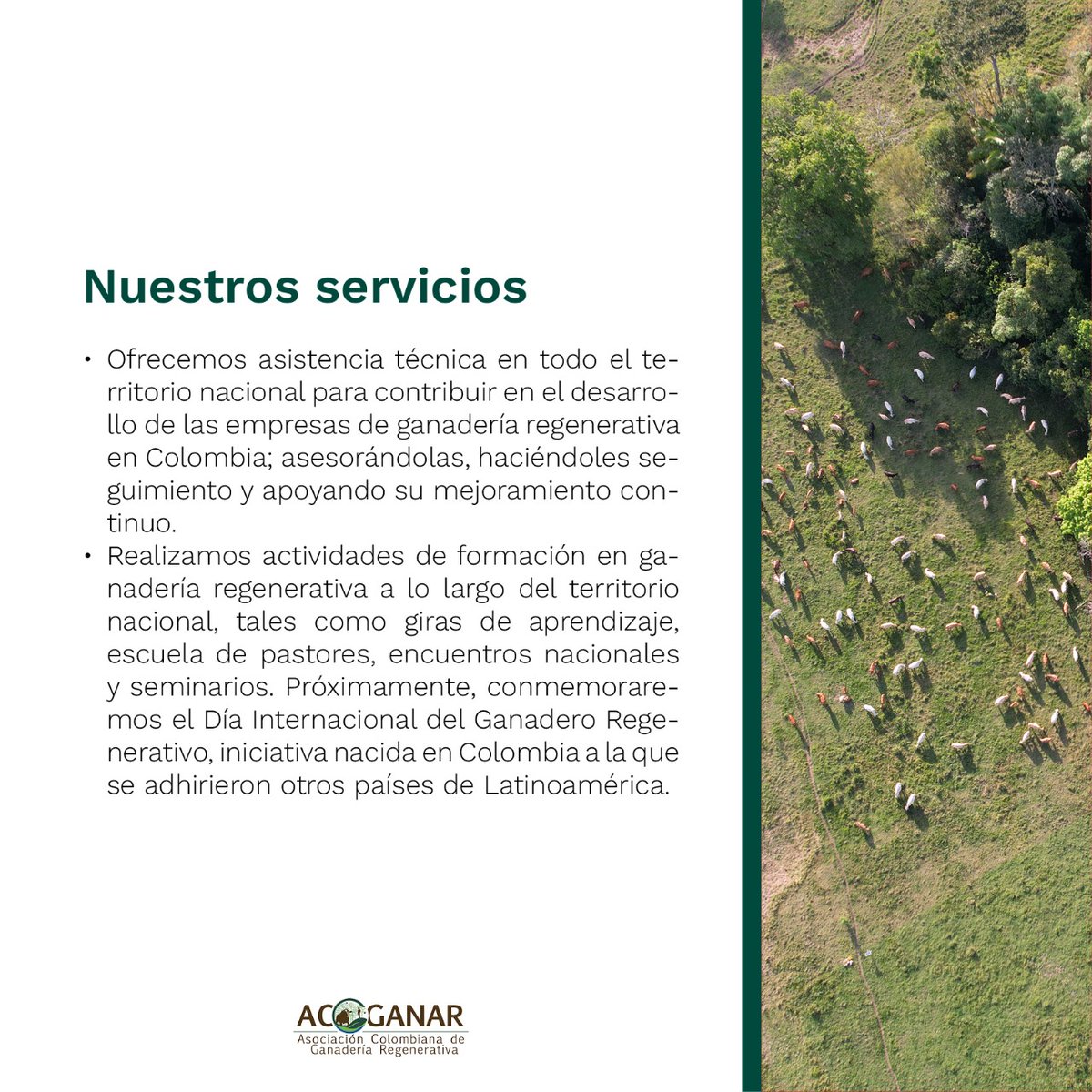 Asociación Colombiana de Ganadería Regenerativa tweet media