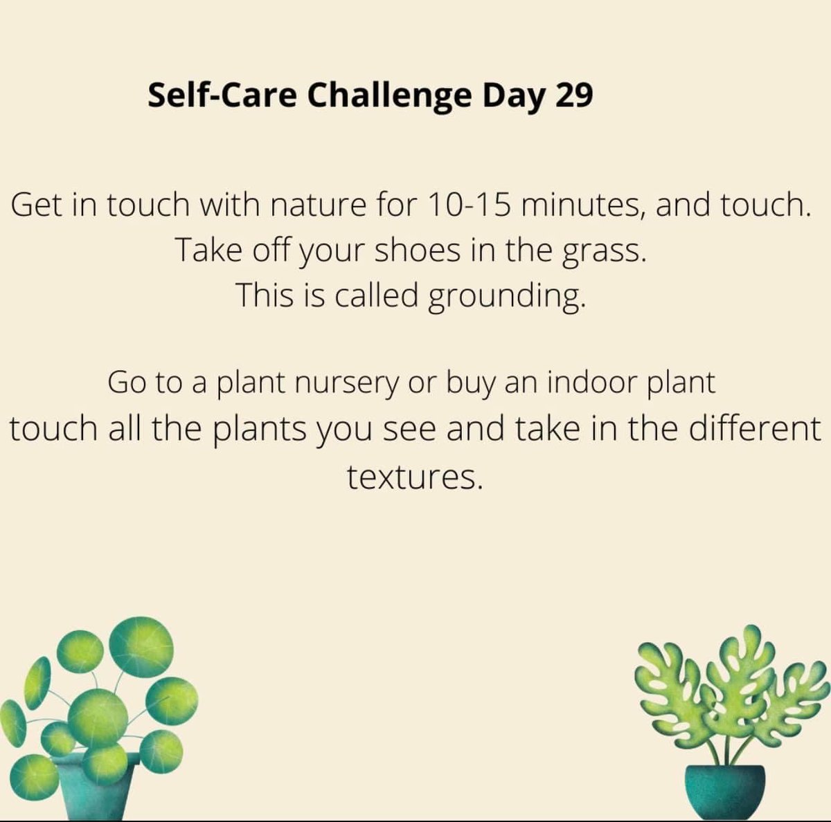 FOFMiami's tweet photo. Good Morning it’s finally Friday! 😁
💡Fun Fact: Trees keep our air supply fresh by absorbing carbon dioxide and producing oxygen.

If you are interested in our different virtual activities please visit our website 💻: https://t.co/lromtMNumt
#30dayselfcarechallenge #fofmiami https://t.co/GF2WwjxhOh