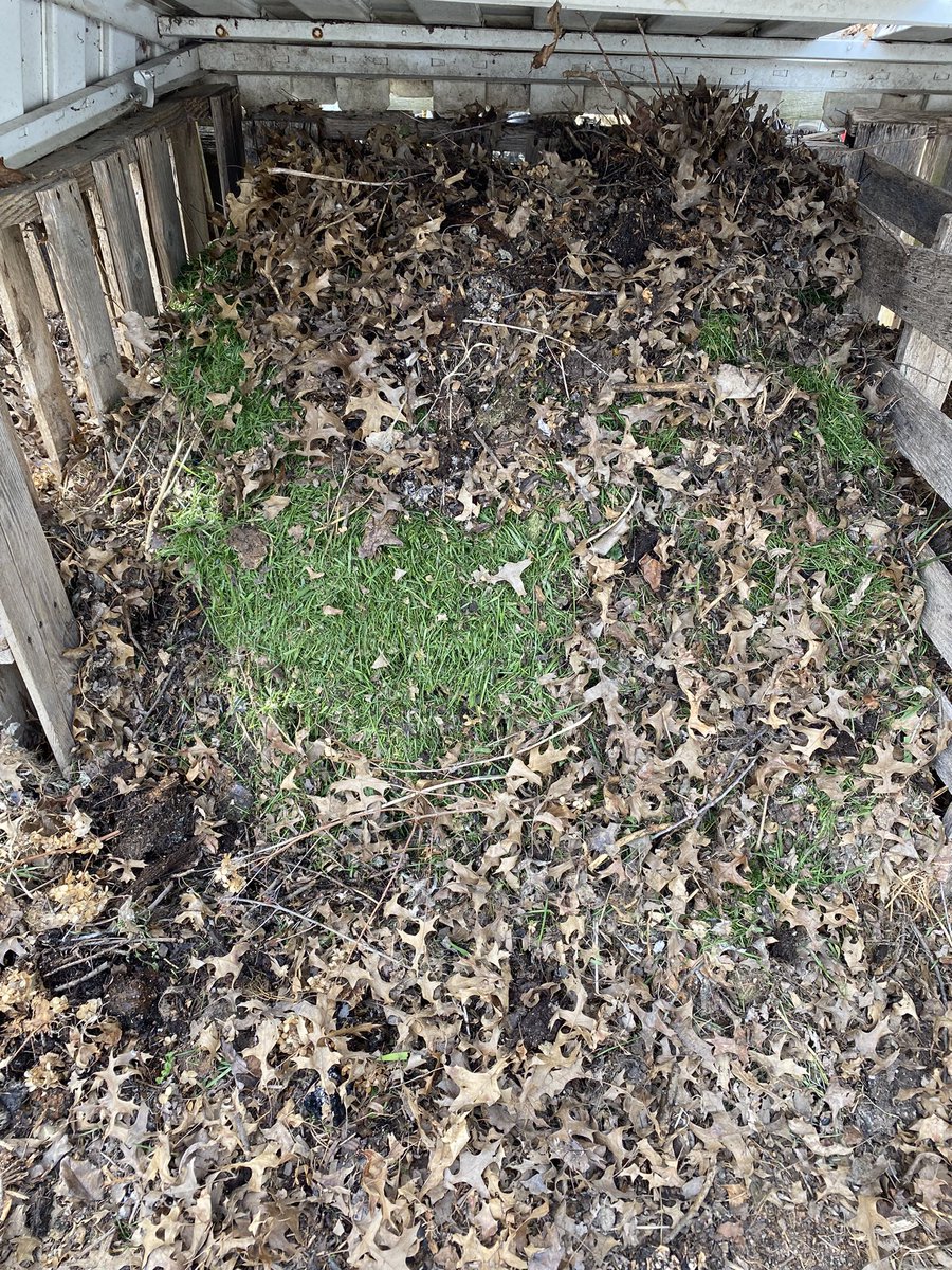 GreenDreamsEth's tweet photo. Cutting grass, pulling weeds, and raking leaves….No No my friends. 

Making compost 😉👍🚀

#GardeningTwitter #GivingAShit #FreeNutes 🔥💨🚀 https://t.co/3kGZIcVZZk