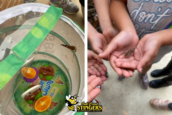ECISDtweets's tweet photo. What happened this week at East Central ISD? Find out in today's issue of The Tides of Pride ~ April 29, 2022 - https://t.co/xaploONSDM https://t.co/G6NFcNnk58