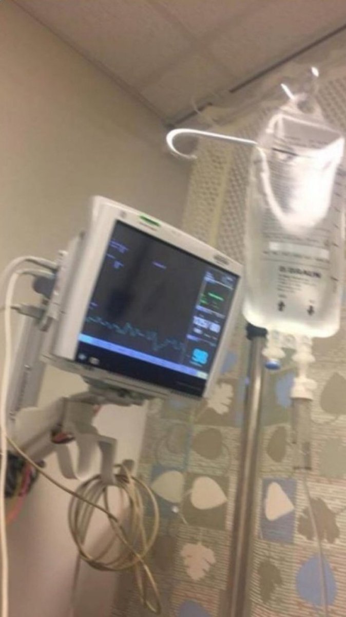 DO NOT DIP YOUR KK GRILLED CHEESE INTO LAKE MENDOTA