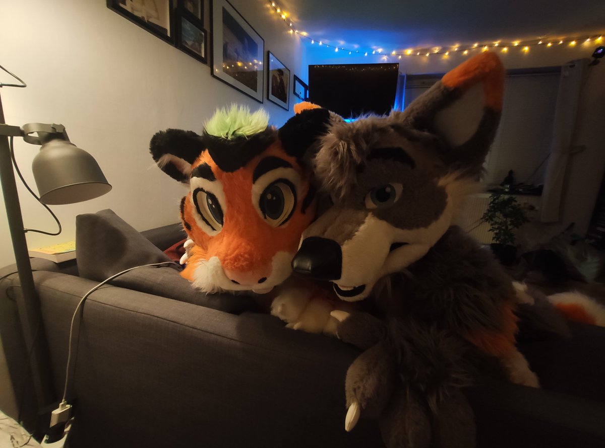 Hewwo, can me and cutie <a href="/RENIT1/">renit</a> plz get some sweets and cuddles? 🥺❤️

#FursuitFriday