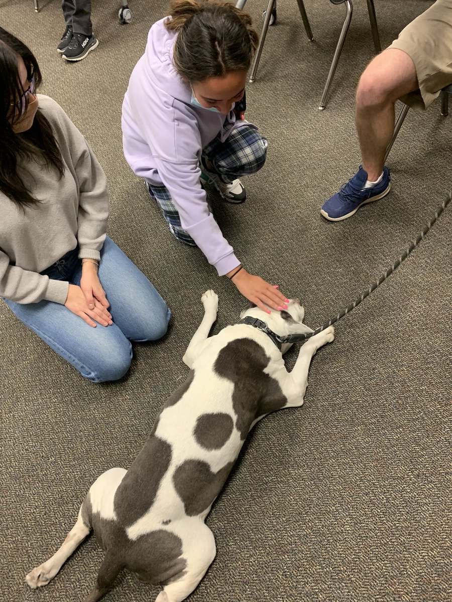 We ended Laugh More Stress Less week with therapy dogs! Thank you to everyone to participated in our activities this week! We appreciate you all and hope you had as much fun as we did! <a target='_blank' href='http://search.twitter.com/search?q=GeneralsLead'><a target='_blank' href='https://twitter.com/hashtag/GeneralsLead?src=hash'>#GeneralsLead</a></a> <a target='_blank' href='https://t.co/G0MTsy7pMC'>https://t.co/G0MTsy7pMC</a>