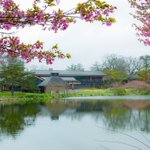 ツイートに含まれる画像