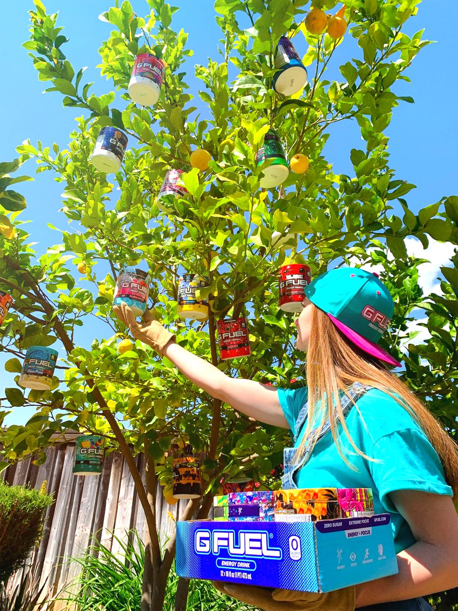 GFuelEnergy's tweet photo. 🥳 CONGRATS to @BreeSmiles365 and her MAGNIFICENT #GFUEL TREE for being the WEEK 4 WINNERS of #fanFUELED and for securing themselves this equally MAGNIFICENT G FUEL Mini Fridge!!! 🌳 🤩 🌸 https://t.co/xhcSM9pCtn