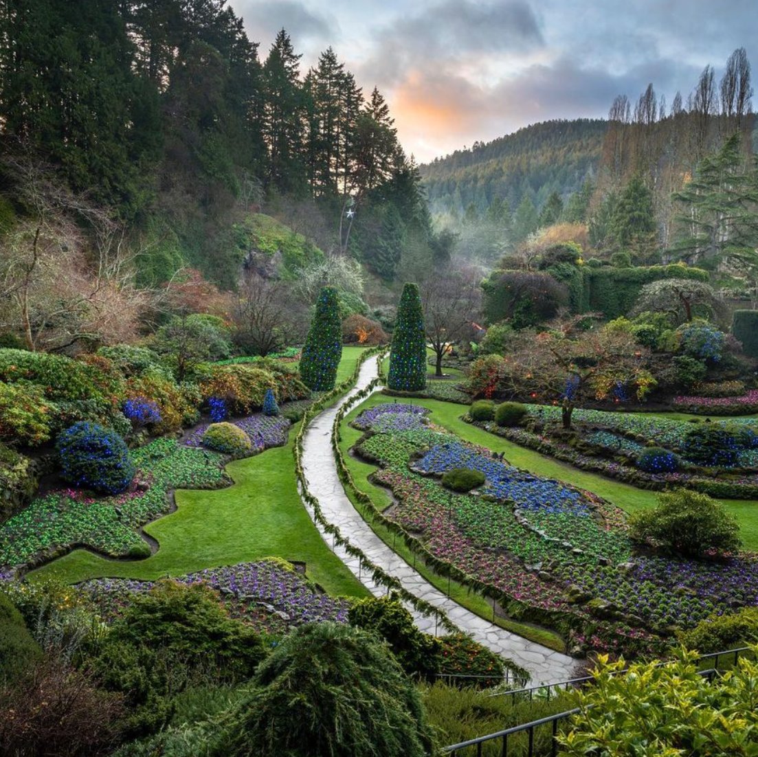BellstarResorts's tweet photo. 3 Historic places on Vancouver Island to visit this summer:

👉 Buchart Gardens: In bloom for over 100 years! 
👉 Cathedral Grove: An enchanted forest with trees over 800 years old!
👉 Hatley Park: A magical Edwardian castle right on the ocean. https://t.co/O6KID4YN19