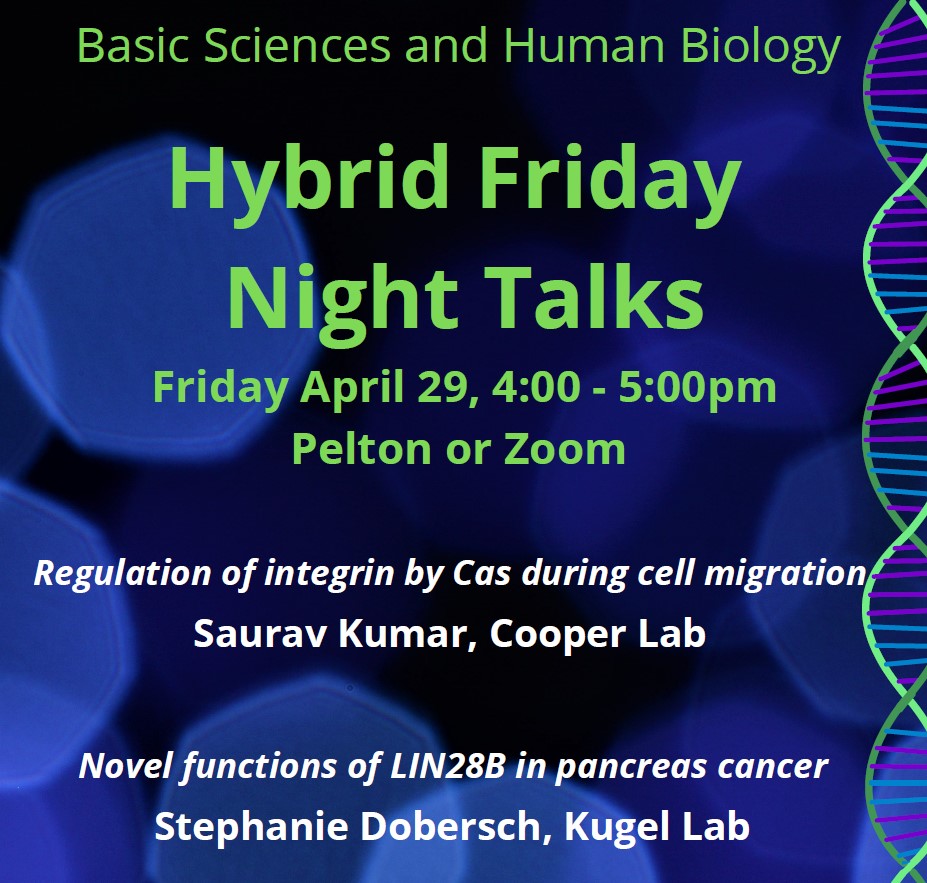 This #FridayNightTalks Saurav Kumar from the Cooper Lab is sharing their research on the regulation of integrin by Cas during cell migration and Stephanie Dobersch from Human Biology’s Kugel Lab is discussing novel functions of LIN28B in pancreas cancer. Can’t wait!