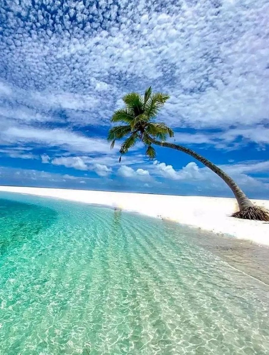 Good morning 💙🌴💙🌴