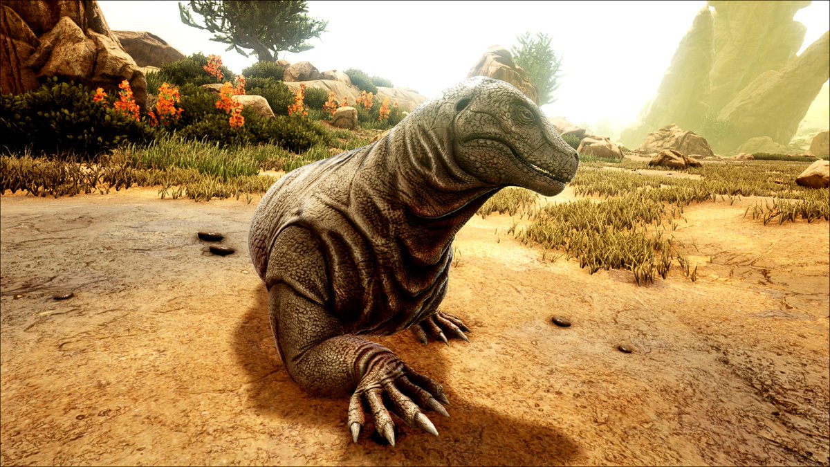 Arkuna_Matata's tweet photo. Empieza a haber solecito... Y por #ArkunaMatata también.

#playARK #Steam #EpicGames #ARKSurvivalEvolved #ARK #survivetheark #instagaming #gamer #gaming #studiowildcard #pcgaming https://t.co/HIEO7hvMms