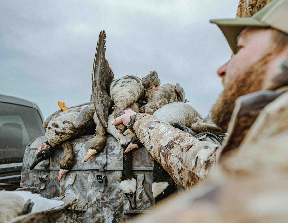 Duck Lander Call Co. tweet media