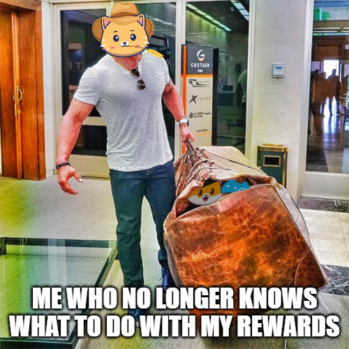 Elen Musk 🌹 tweet media