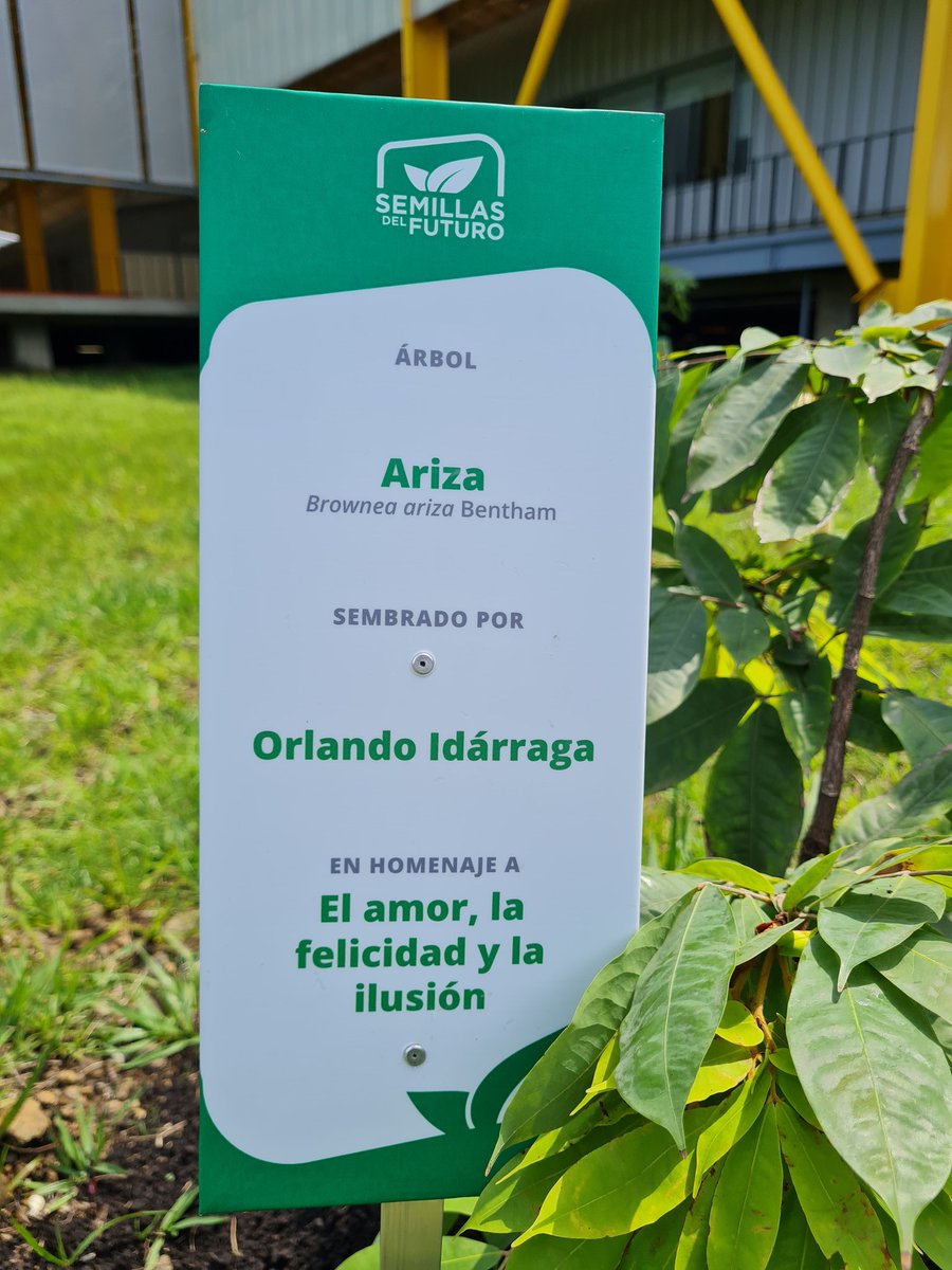 oridarraga's tweet photo. #TBT to celebrate #ArborDay 🌳

Doing my bit for #FutureSeed at @BiovIntCIAT_eng in honor of love, hapiness and hope ❤ https://t.co/QVQVIOBGJz