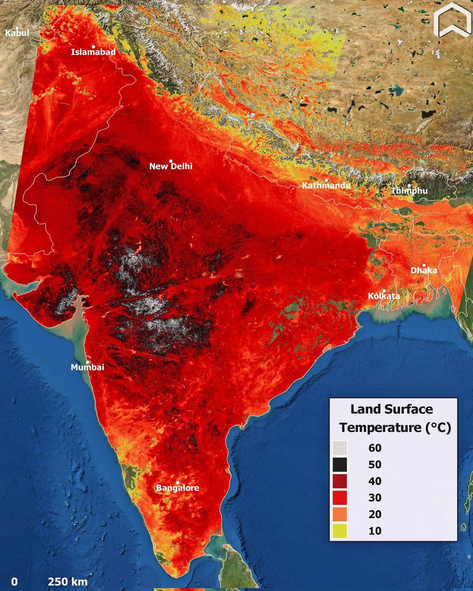 Licypriya Kangujam tweet media