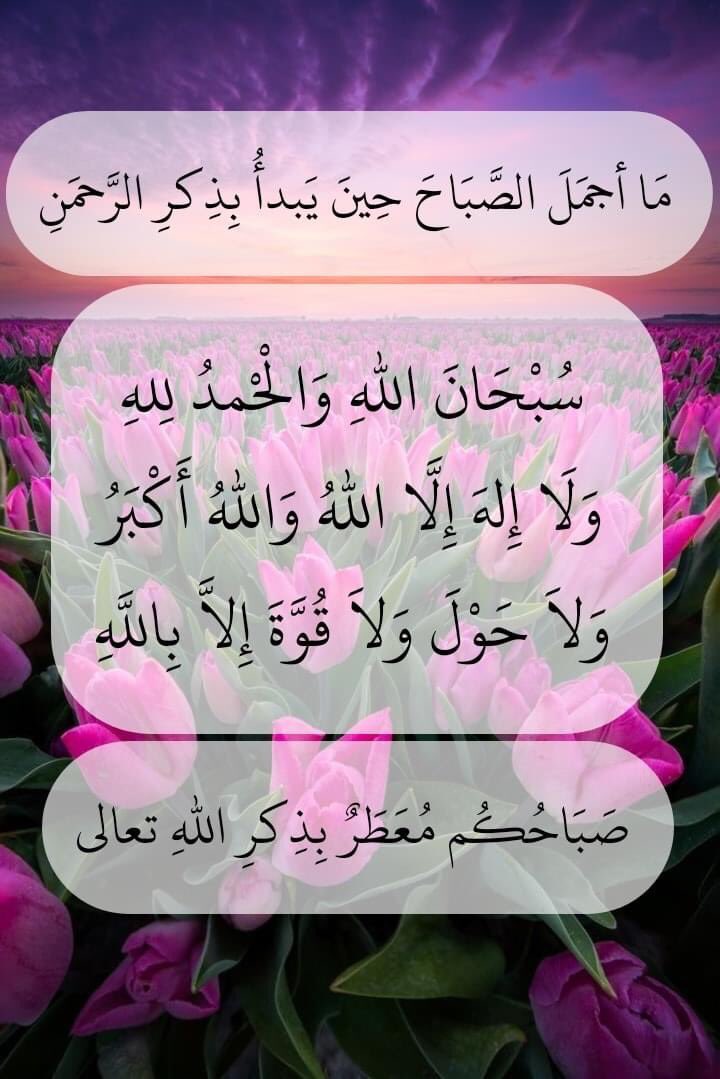 Ramy elkalaf 👑رامي الكلاف (@ramyelkalaf) on Twitter photo 