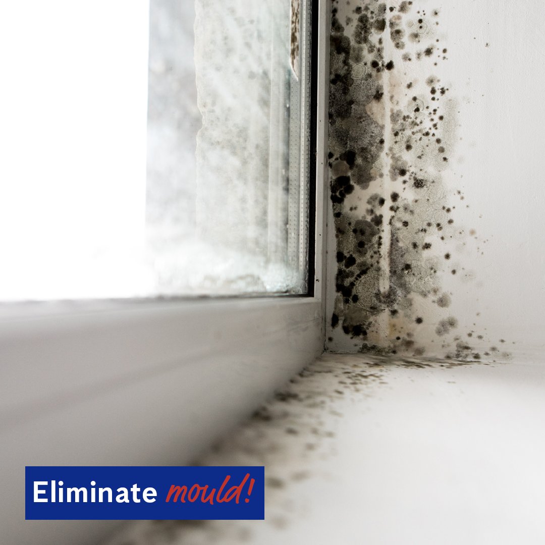 Flick’s fogging solution eliminates mould, targets and kills airborne mould spores, and prevents mould from growing back. 

Contact us today, call 13 14 40!

#flickanticimex #mouldsolutions #nswfloods #qldfloods #wetweather #mould #mouldcontrol #floodrelief