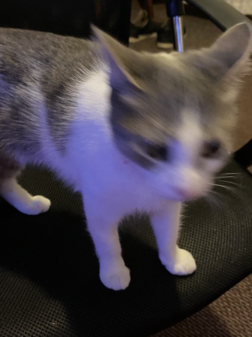 Gracia por apa&ntilde;arme en estos momentos tan dif&iacute;ciles :(   Lamento haberme puesto tan sentimental en stream<a href="/tag/diainternacionaldelamujer"class="tags"><span>#diainternacionaldelamujer</span></a><a href="/tag/vtuberes"class="tags"><span>#vtuberes</span></a><a href="/tag/8m2022"class="tags"><span>#8m2022</span></a>