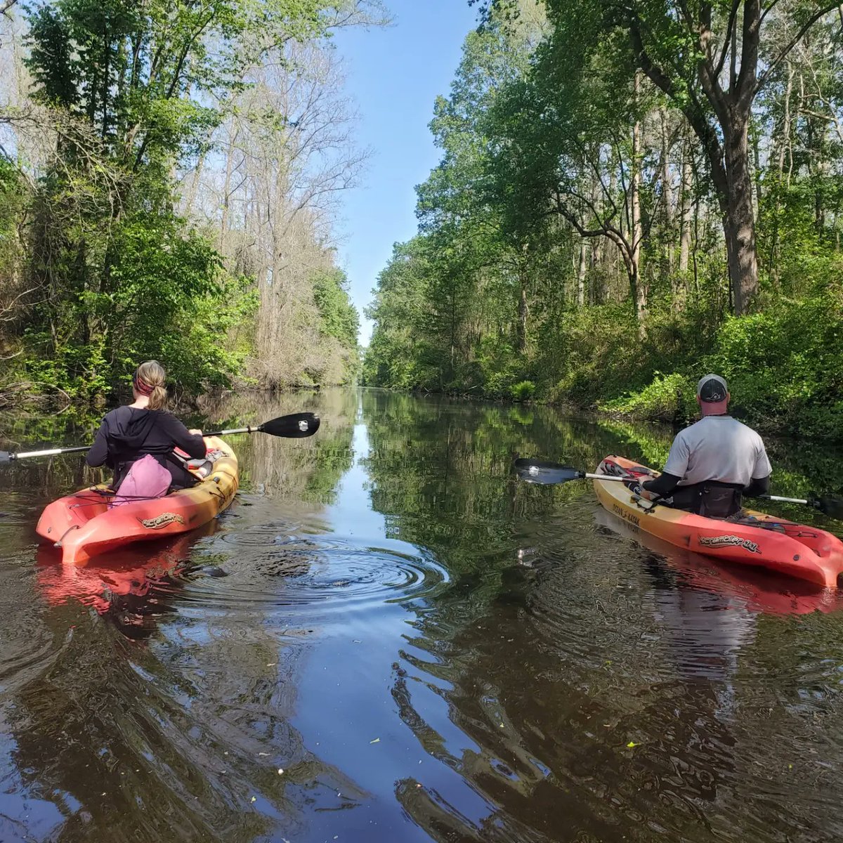 Adventure Kayak Tours tweet media