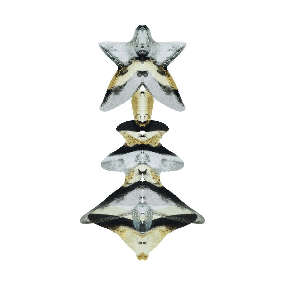 nft0tem's tweet image. 0403/1000 - Relics From The Future Collection.
#nft #art #abstractart #cryptographic #painting #artcommunity #nftcommunity