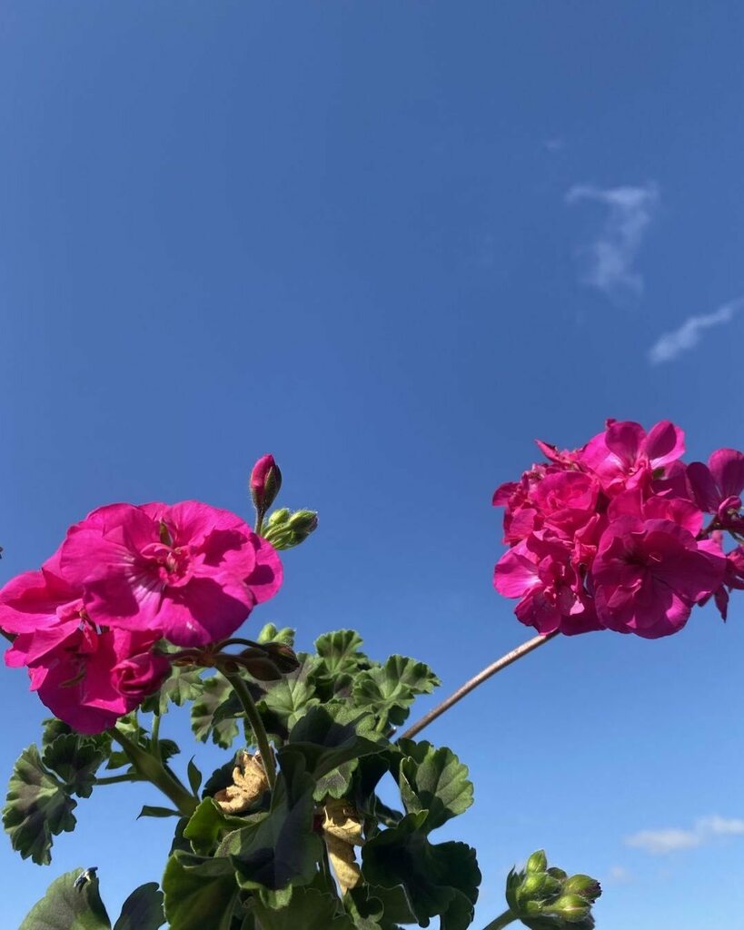 sunaotsuchi's tweet photo. https://t.co/gfEX4pM3Bl