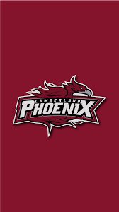 thankful for the offer to play at the next level <a href="/CUPhoenixMBB/">Cumberland University Men's Basketball</a> !
