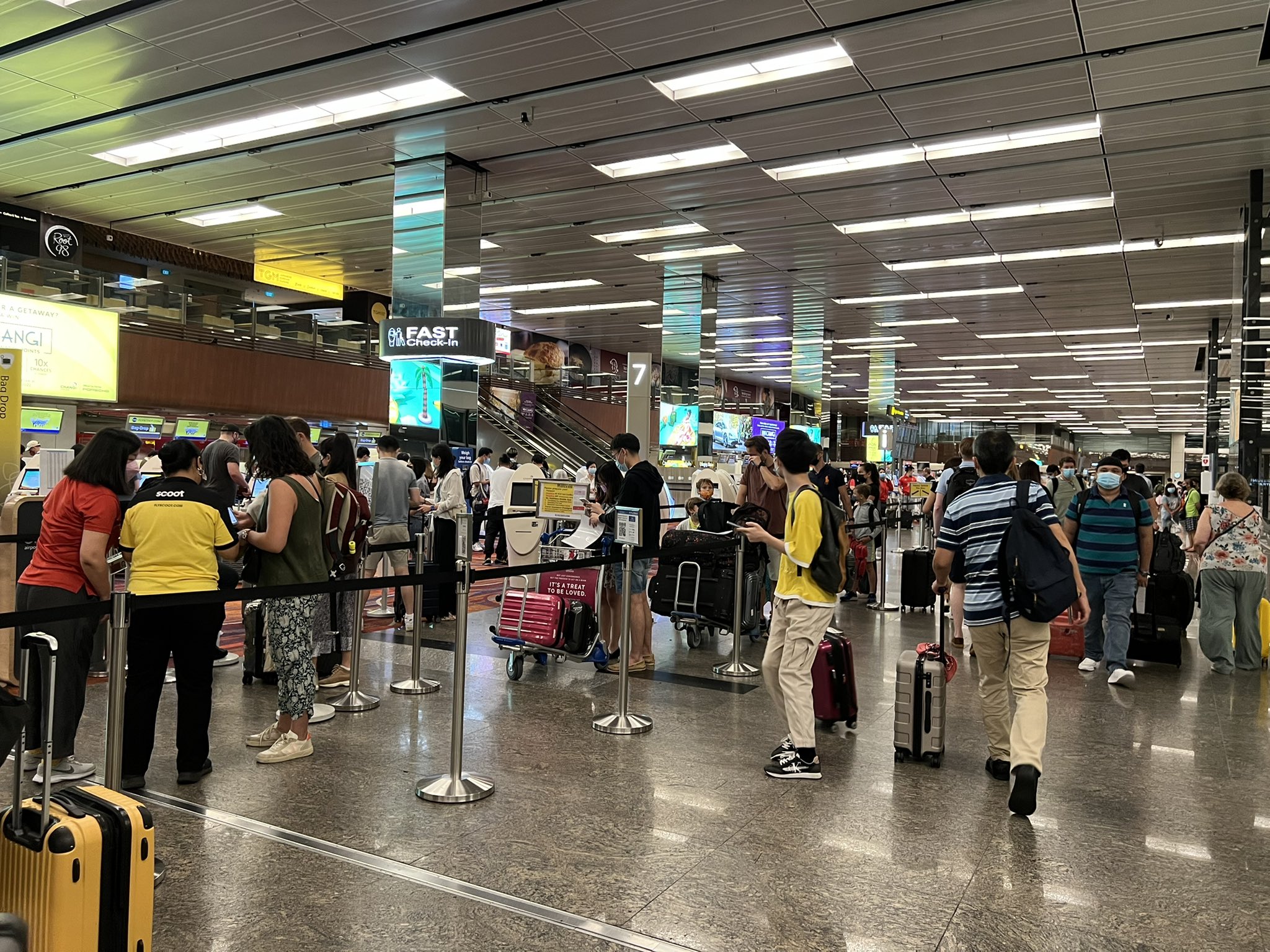 Kiki 最近起業した シンガポール 外国人でも飛行機着陸から入国まで15分 出国時は 空港到着から出国まで10分 超スムーズ 対して日本に帰国するには 現地出国前pcr検査が必要で 日本に到着してからまた空港でpcr検査 飛行機が着陸してから空港を Kiki 最近起業した シンガポール 外国人でも飛行機着陸から入国まで15分 出国時は 空港到着から出国まで10分 超スムーズ 対して日本に帰国するには 現地出国前pcr検査が必要で 日本に到着してからまた空港でpcr検査 飛行機が着陸してから空港を