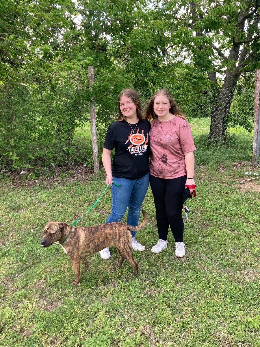 Some of BPA members volunteered at PAWS today. Both people and dogs had big smiles!#piratepride #byngpride