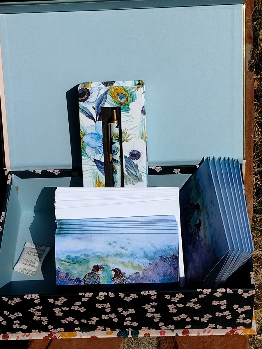 Note cards from Laura Rispoli Art. Great gift.
