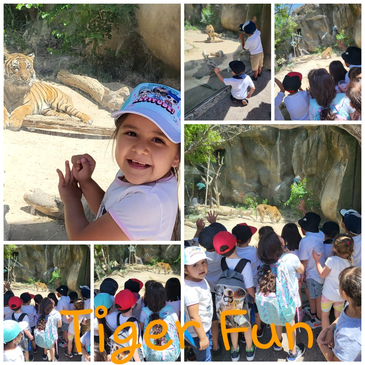 HeatherLopezFME's tweet photo. Awesome day at the El Paso Zoo. A Good way to close Theme 7 and Theme 8 of Frogstreet. #FmePrekGameOn #VivaClintPreK #FMEpride #GameOn #WeAreClint #PreKBabies #KinderBound https://t.co/C805isUhEi