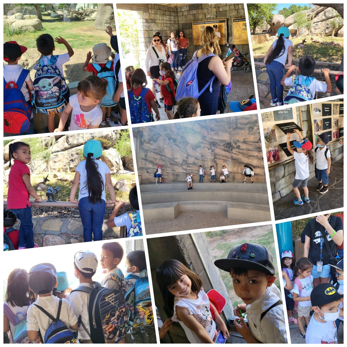 HeatherLopezFME's tweet photo. Awesome day at the El Paso Zoo. A Good way to close Theme 7 and Theme 8 of Frogstreet. #FmePrekGameOn #VivaClintPreK #FMEpride #GameOn #WeAreClint #PreKBabies #KinderBound https://t.co/C805isUhEi