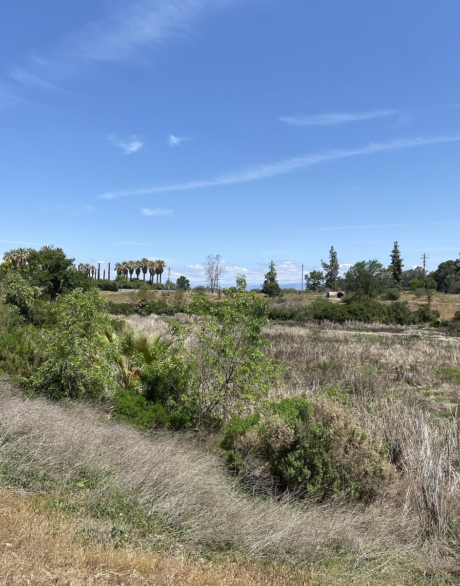 ExploreVGardens's tweet photo. Today's #MeetTheGarden special guest is The San Joaquin River Parkway and Conservation 

The San Joaquin River Parkway and Conservation Trust’s mission is to preserve and restore San Joaquin River lands and educate the public on the need for stewardship. https://t.co/KIUUHF30k5
