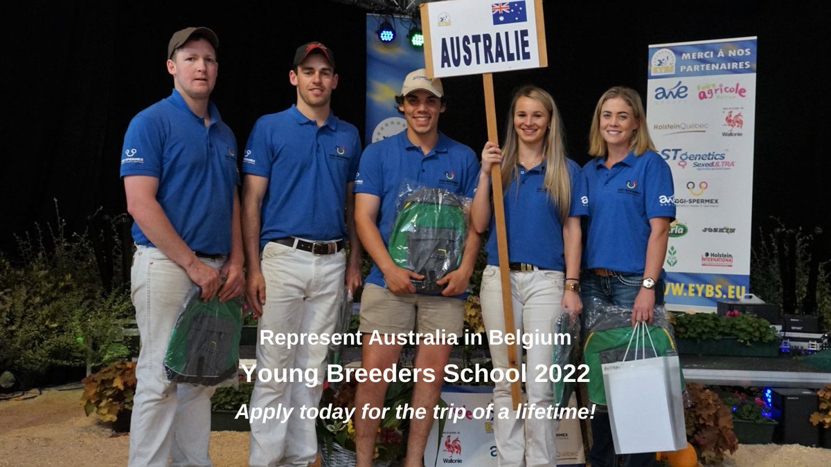 Love dairy cows? Want to represent Australia at YBS-Young Breeders School in Belgium later this year? Apply today! Applications close 15 May. More at bit.ly/3vrBC0c
@JerseyAustralia <a href="/STgenetics/">STgenetics</a> <a href="/GenAust/">Genetics Australia</a> <a href="/gardinerdairy/">Gardiner Foundation</a> #YBS #YBS2022 #AusDairy #DairyLove