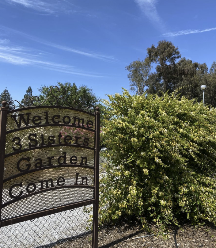 ExploreVGardens's tweet photo. Our next #MeetTheGarden highlight is a special garden right in the heart of Madera Community College. 

The Three Sisters Garden is a Certified Wildlife Habitat with the National Wildlife Federation. Other sections feature perennials, seasonal plantings and colorful foliage. https://t.co/Um8lYzEg0M