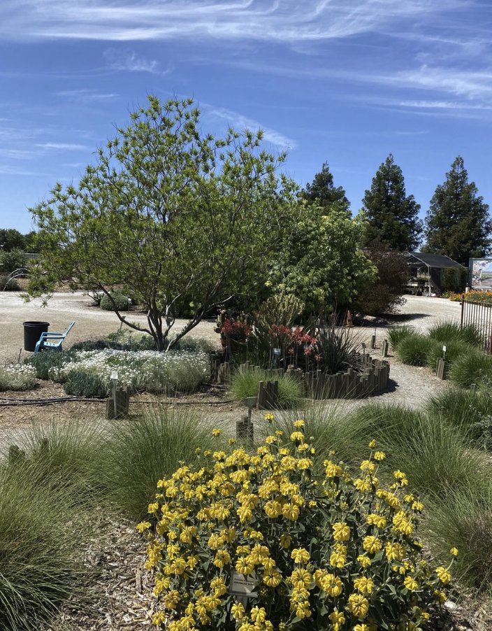 ExploreVGardens's tweet photo. Our next #MeetTheGarden highlight is a special garden right in the heart of Madera Community College. 

The Three Sisters Garden is a Certified Wildlife Habitat with the National Wildlife Federation. Other sections feature perennials, seasonal plantings and colorful foliage. https://t.co/Um8lYzEg0M