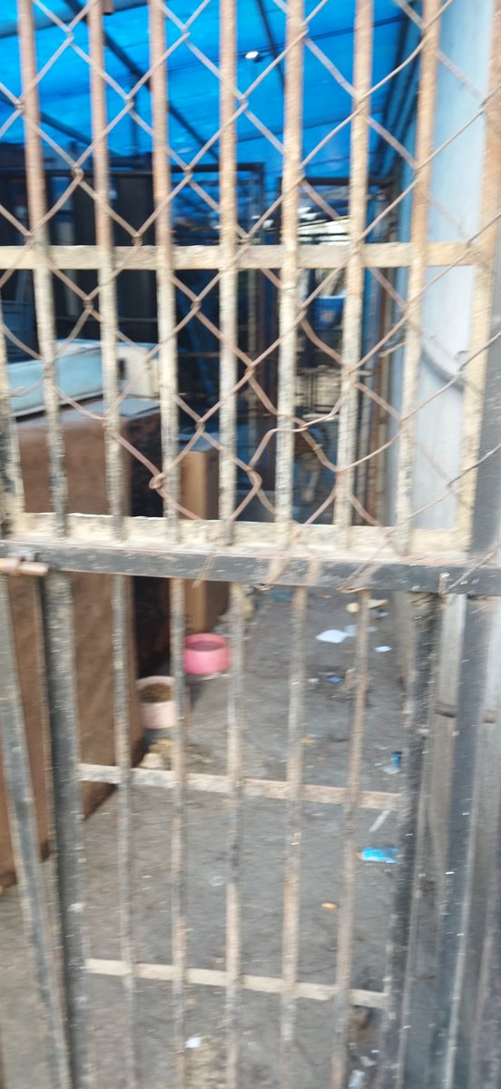vpazy's tweet photo. #diadelanimal @TarekWiliamSaab @NicolasMaduro @gestionperfecta  Dale RT, Misión nevado Nvo Circo, así se trata a quien supuestamente se quiere ? https://t.co/X80qUXiOeE