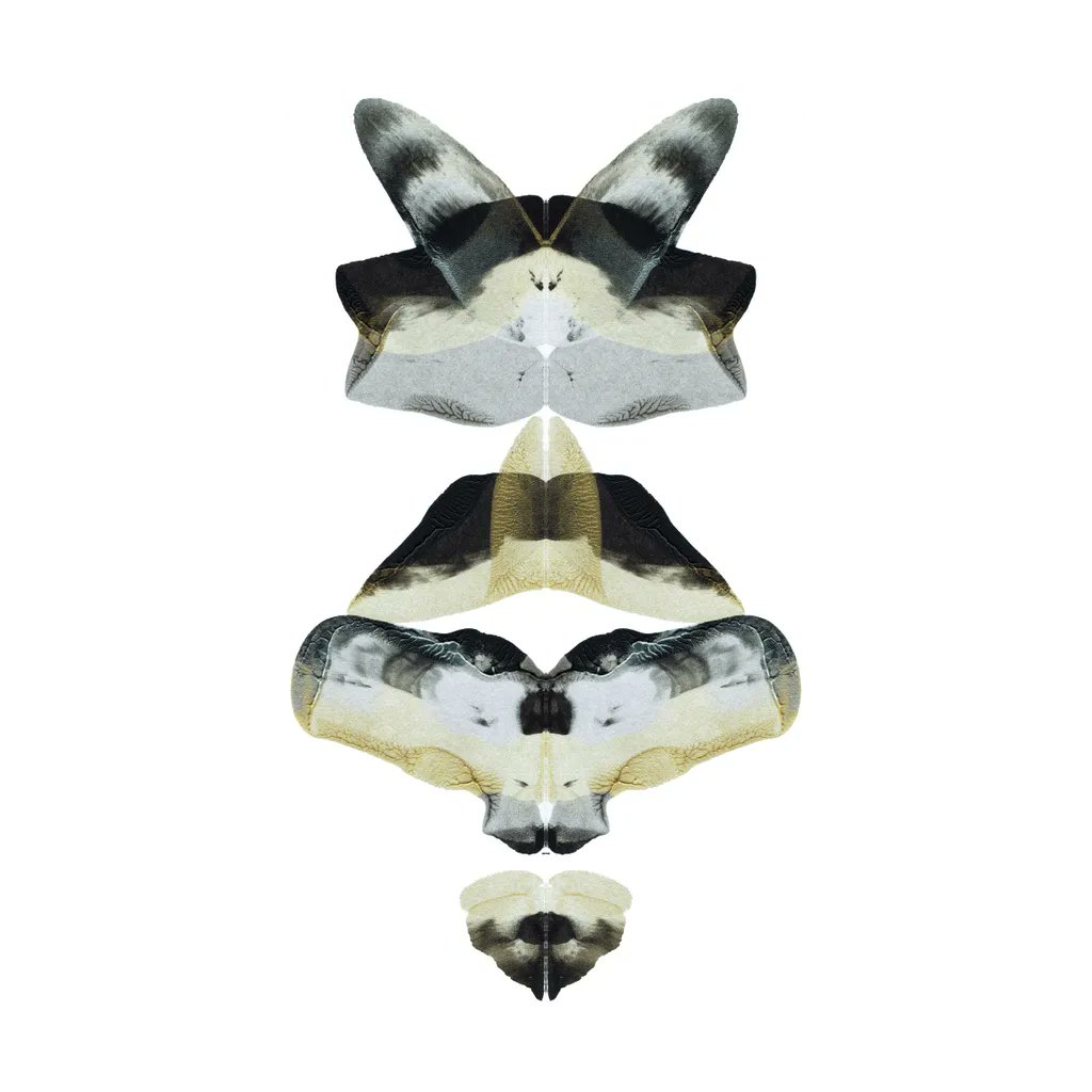 nft0tem's tweet image. 0404/1000 - Relics From The Future Collection.
#nft #art #abstractart #cryptographic #painting #artcommunity #nftcommunity