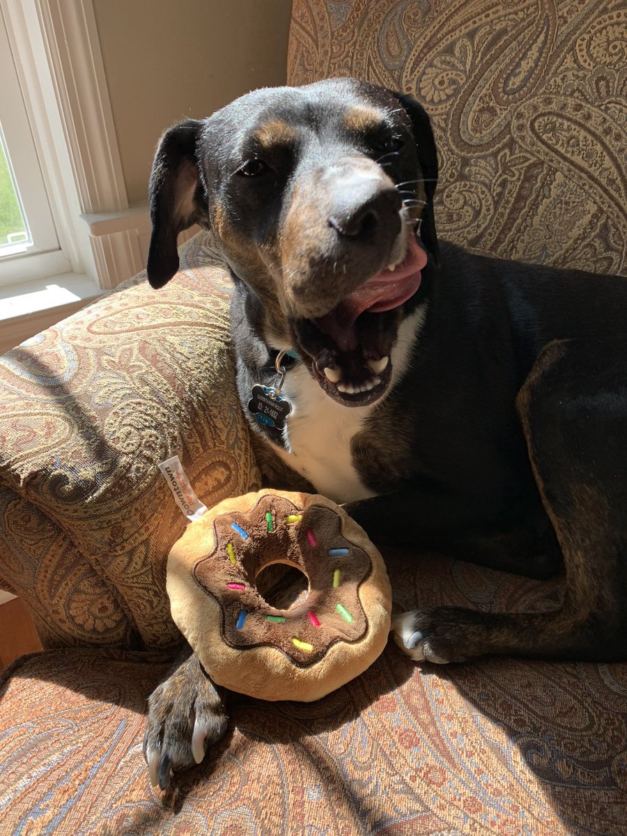 Stephen Black tweet media