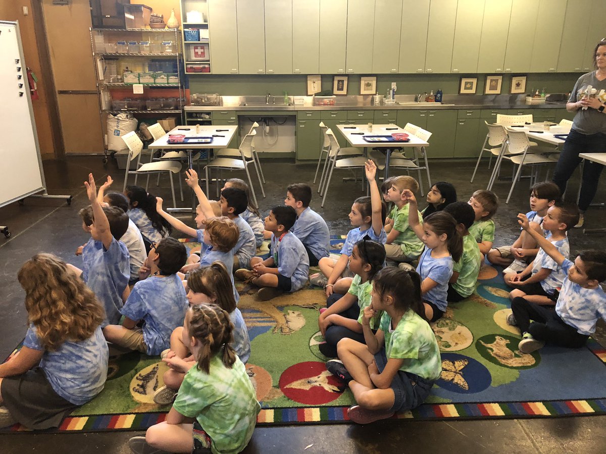 Ms. Everett's Class tweet media