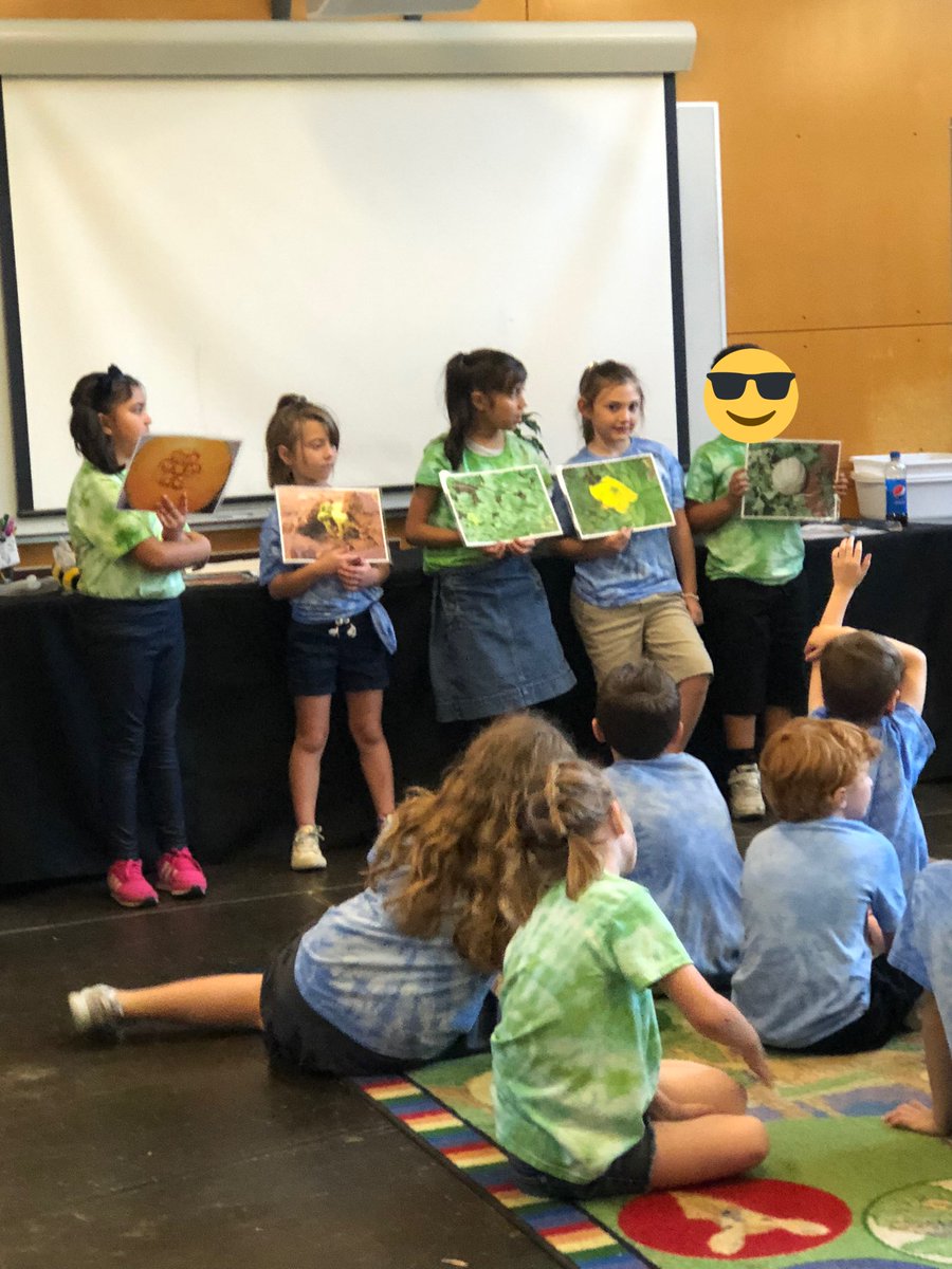 Ms. Everett's Class tweet media