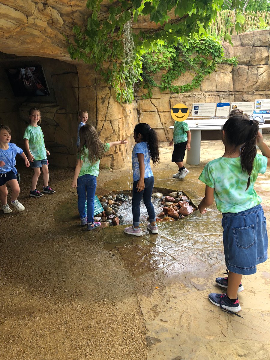 Ms. Everett's Class tweet media